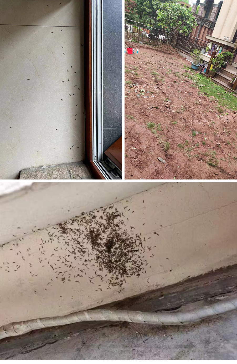 1649828521535444.jpg 12.jpg