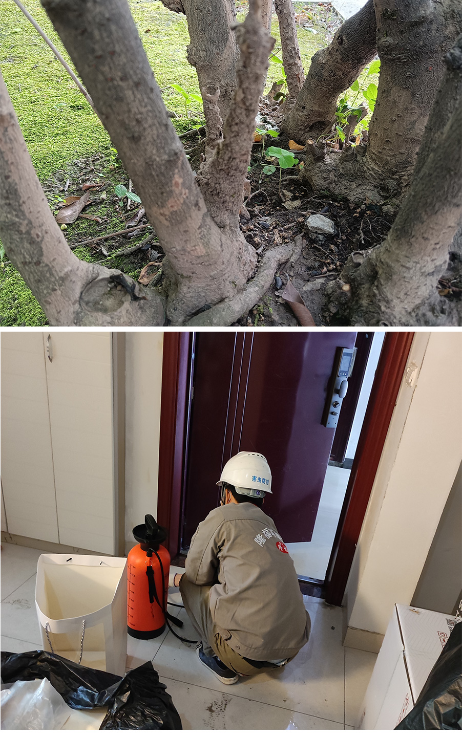 1650433507697272.jpg ps.jpg