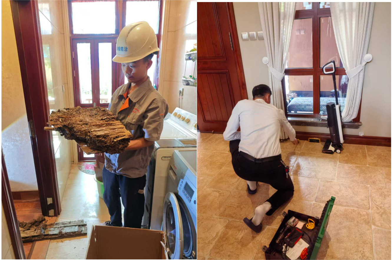 1717054311285819.png 綜合.png