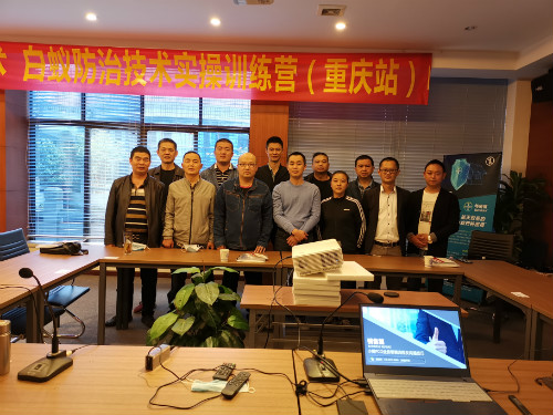 白蟻防治技術實操訓練營(重慶站)