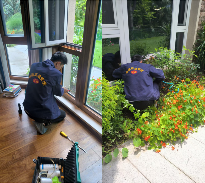 家庭白蟻治理現場