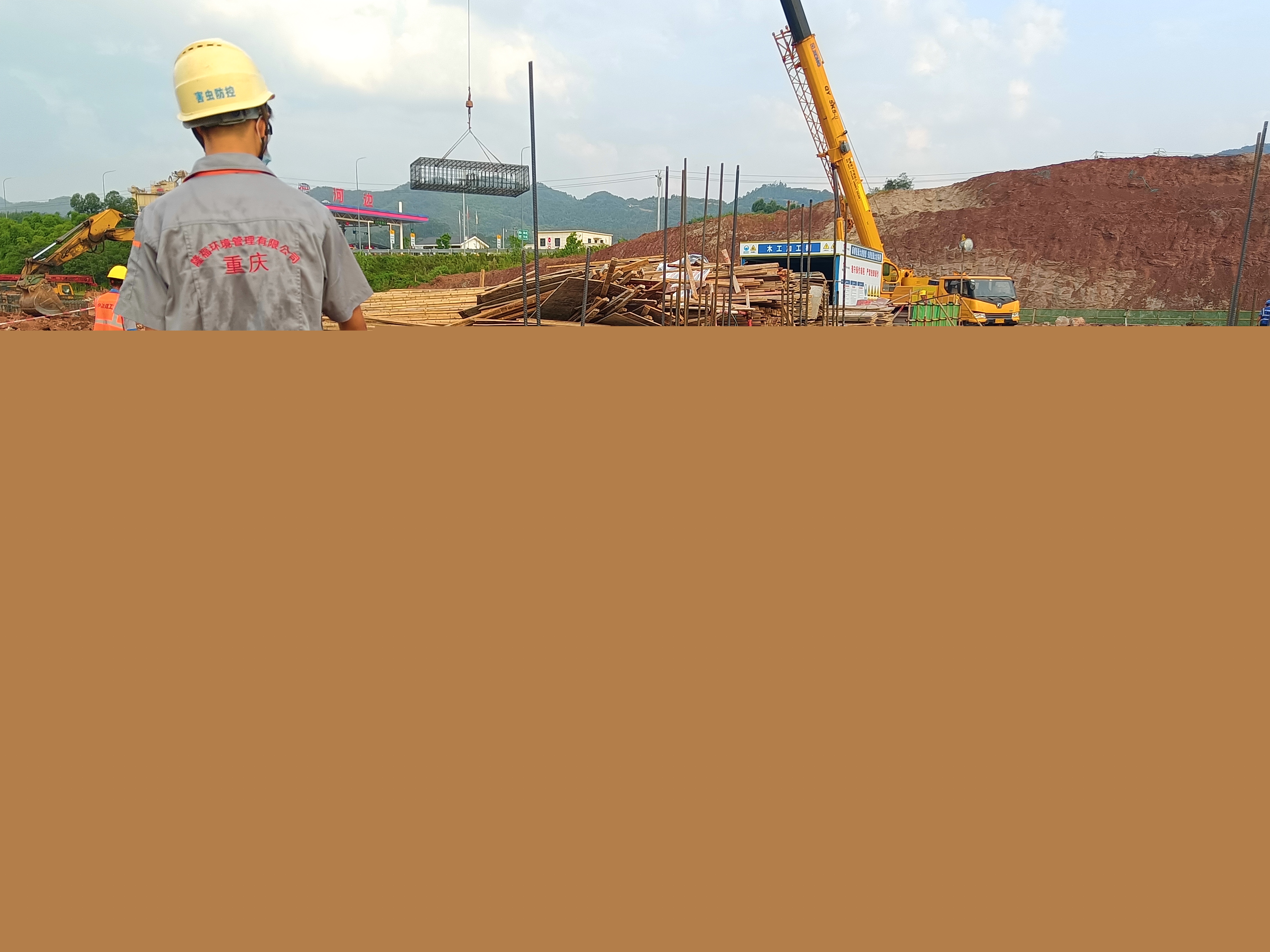 重慶（璧山）綠色低碳材料產(chǎn)業(yè)園白蟻預(yù)防正式啟動