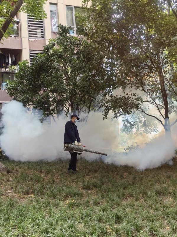 蚊媒防控工作-“隆?！痹谶M行！