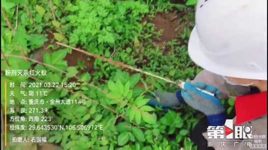 1617243229109731.jpg 3.jpg